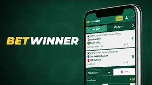 Exploring the Exciting World of BetWinner Casino 2115728470