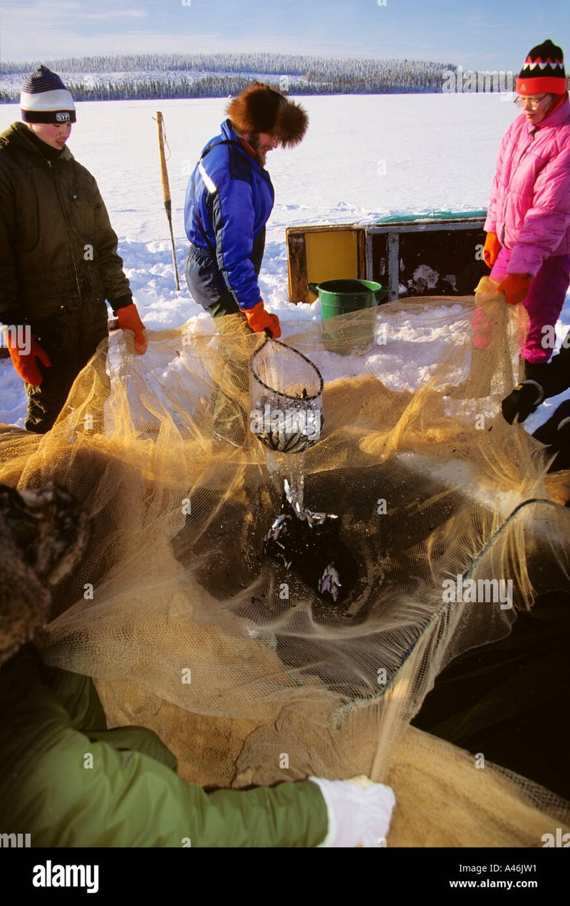 Image: Das Eishockey Casino - Eine Überraschende Erfahrung im Eis angelreich