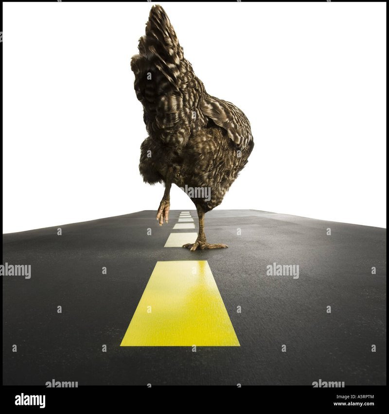 A look at chicken road 2 juego