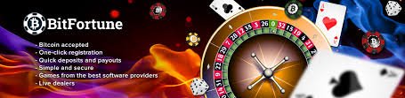 Bitfortune App vs Browser Which is the Best Choice for Players