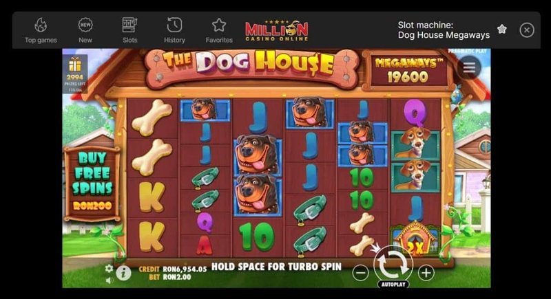 Slot the dog house megaways in Canada