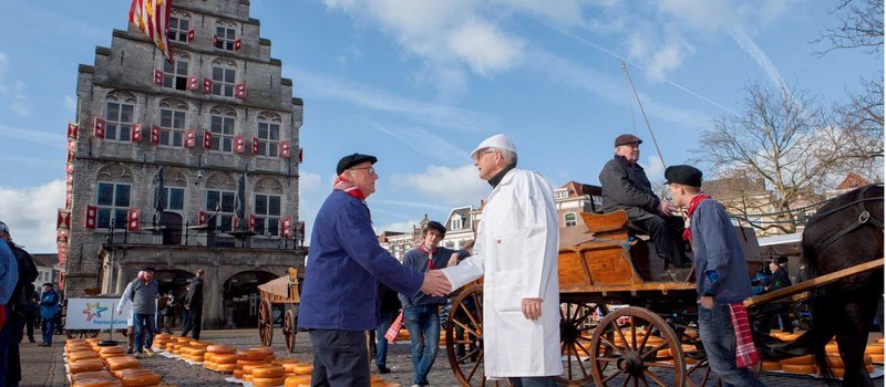 Speel nu de Populairste Chickengaarde Gokspel Online bij Nederlandse Casino's - overview