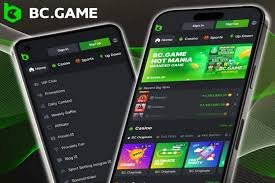 Exploring the BC.Game Platform A Comprehensive Guide 706851645