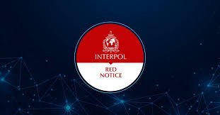 Understanding the Role of Interpol Defense Lawyers 1337794707