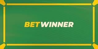Understanding the BetWinner Privacy Policy