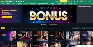 Understanding the BetWinner Privacy Policy